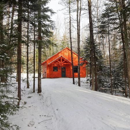 Robert Frost Mountain Cabins ميدلبوري المظهر الخارجي الصورة