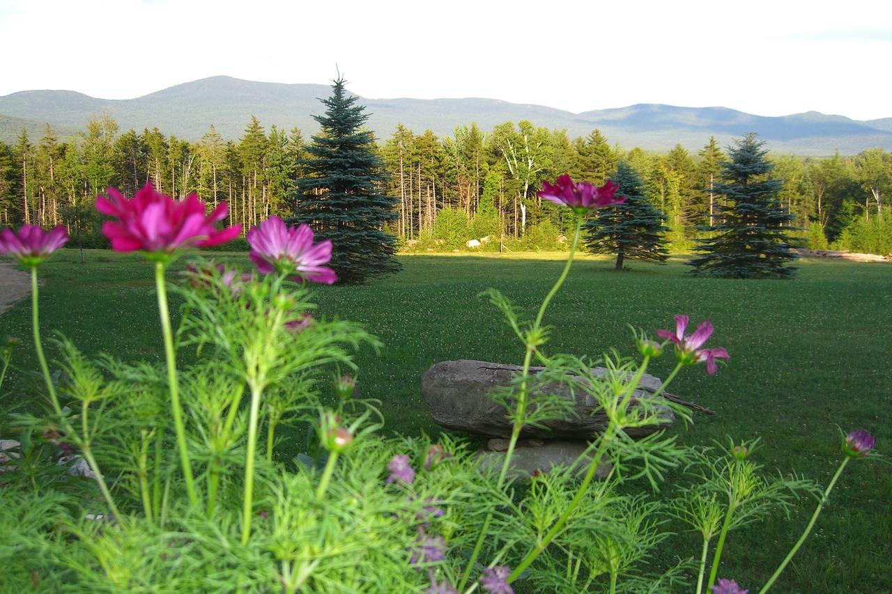 Robert Frost Mountain Cabins ميدلبوري المظهر الخارجي الصورة