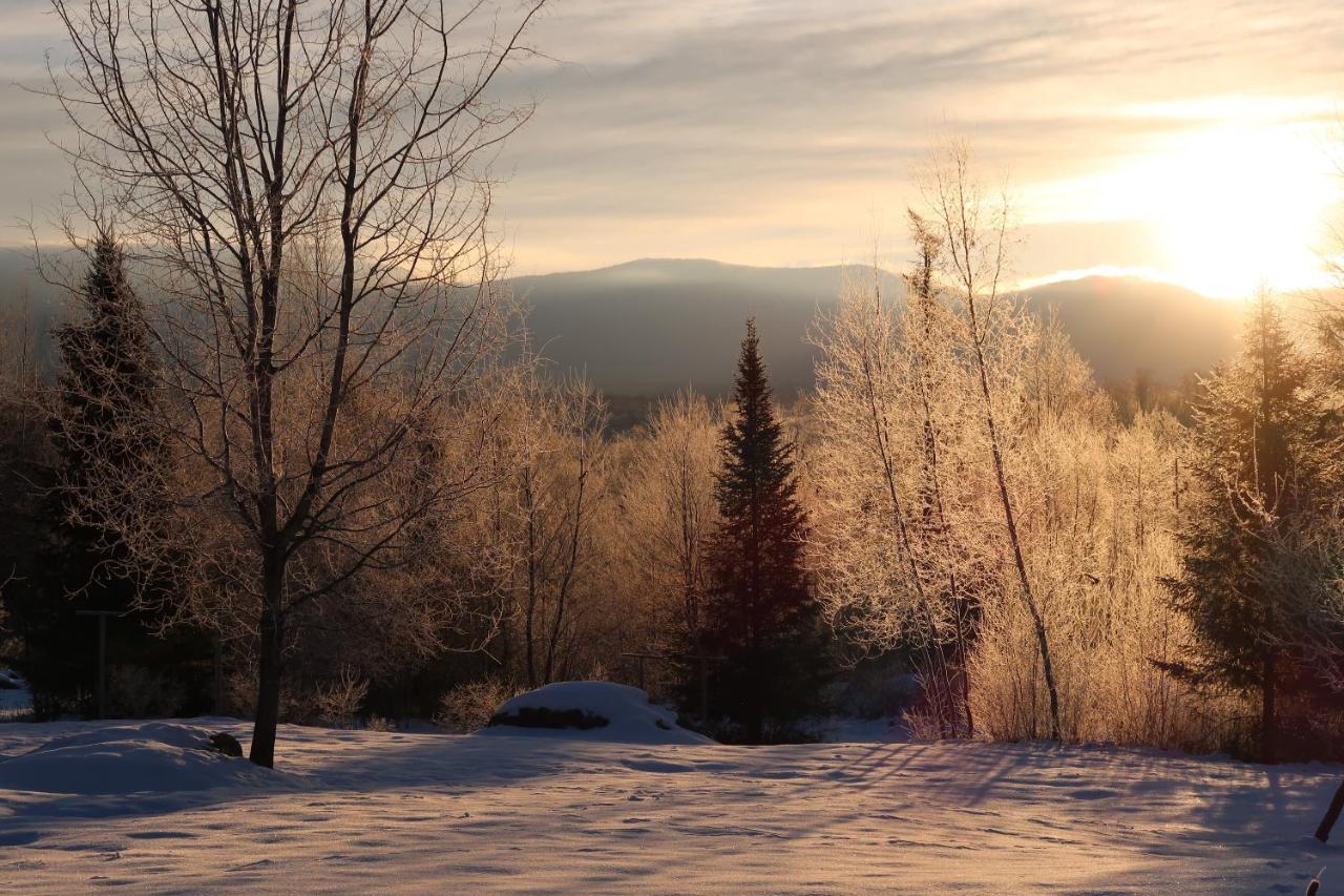 Robert Frost Mountain Cabins ميدلبوري المظهر الخارجي الصورة